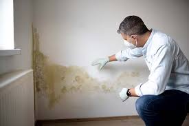 Mold Remediation for Rental Properties in Cattaraugus, NY